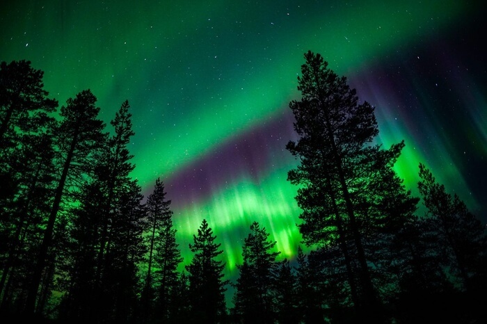 Midnight Sun or Northern Lights Private Tour